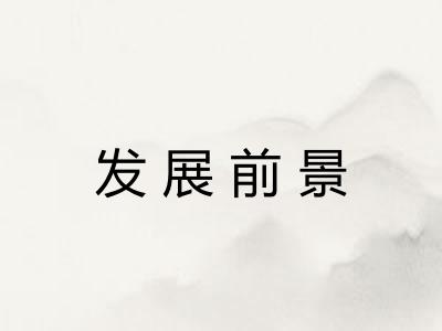发展前景