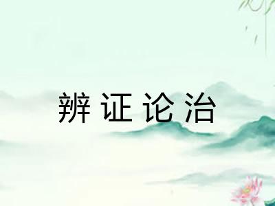 辨证论治