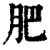 肥(印刷字体·清·康熙字典)