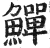 鱓(印刷字体·明·洪武正韵)