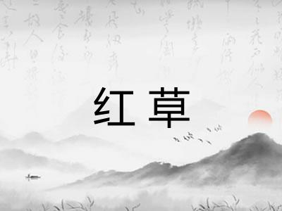 红草 红草
