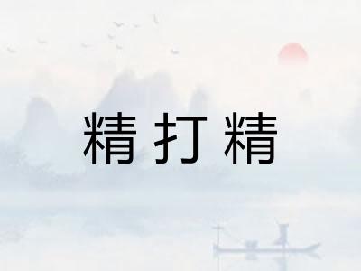 精打精
