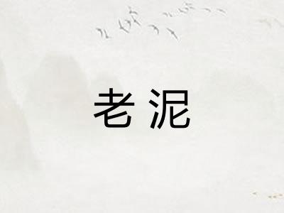老泥