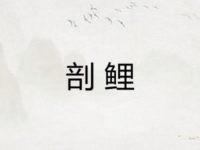 剖鲤 剖鲤
