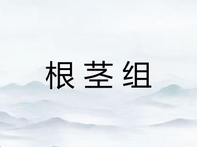 根茎组 根茎组