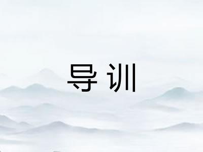 导训