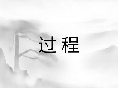 过程