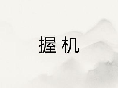 握机