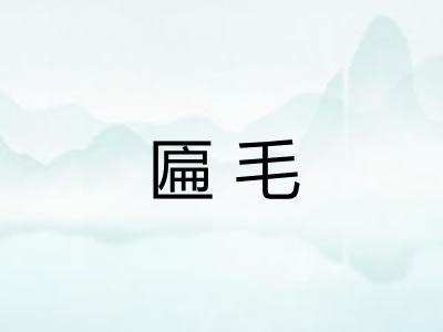 匾毛