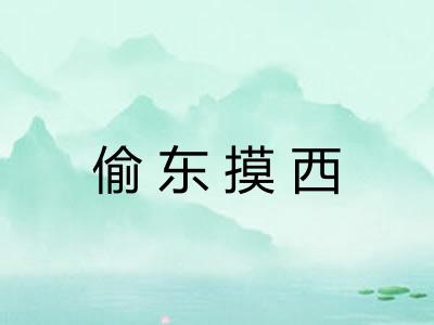 偷东摸西