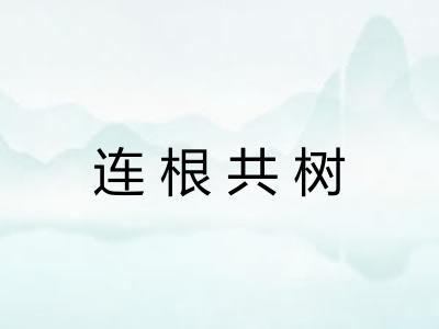 连根共树 连根共树