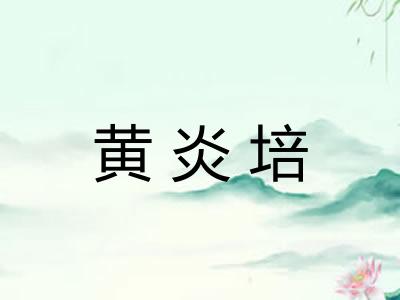 黄炎培 黄炎培