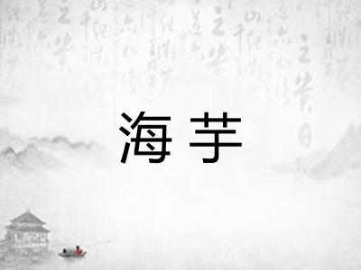 海芋