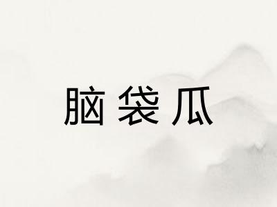 脑袋瓜 脑袋瓜