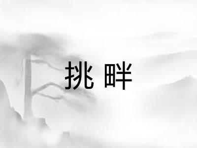 挑畔