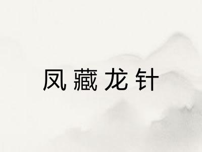 凤藏龙针