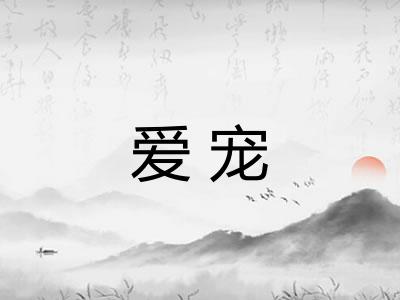 爱宠 爱宠