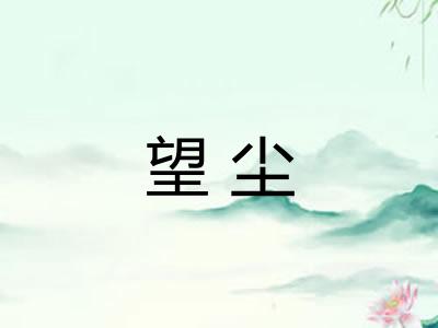 望尘