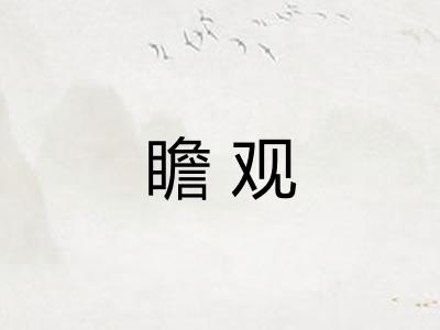 瞻观