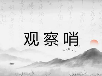 观察哨