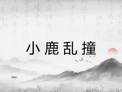 小鹿乱撞 小鹿乱撞
