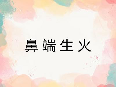 鼻端生火