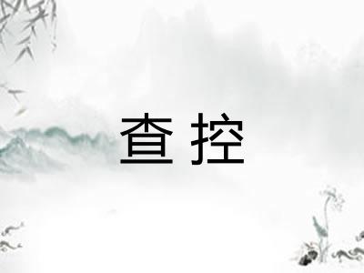 查控