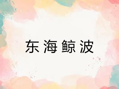 东海鲸波 东海鲸波
