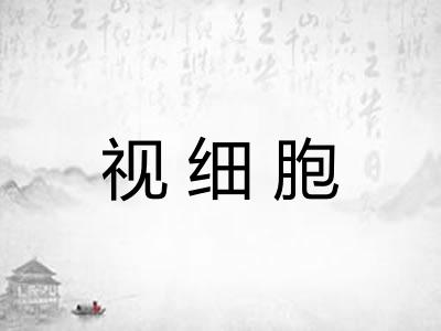 视细胞 视细胞