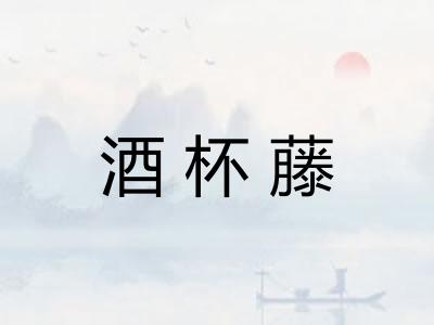 酒杯藤 酒杯藤