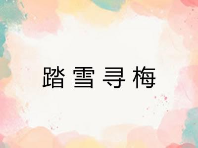 踏雪寻梅