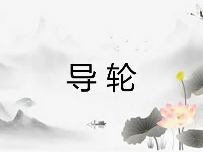 导轮