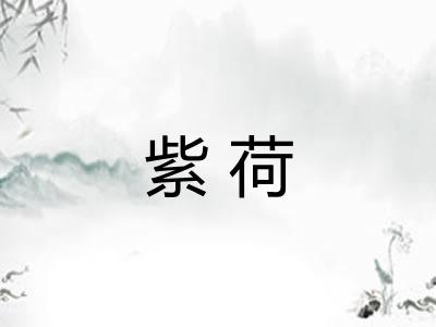 紫荷