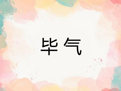 毕气