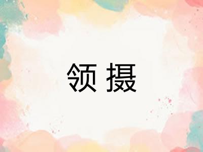 领摄