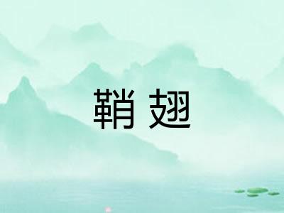 鞘翅
