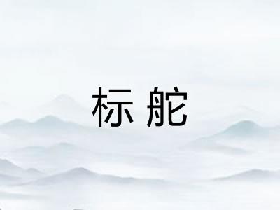 标舵 标舵