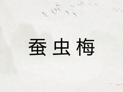 蚕虫梅 蚕虫梅