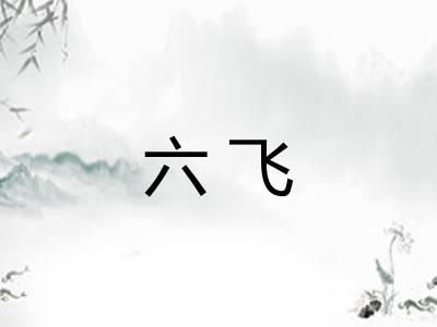 六飞 六飞