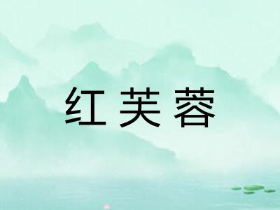 红芙蓉 红芙蓉