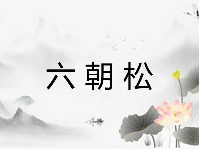 六朝松