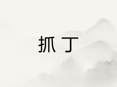 抓丁 抓丁