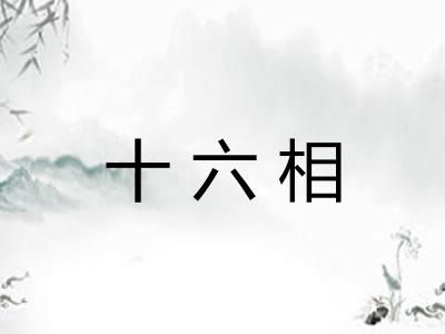 十六相