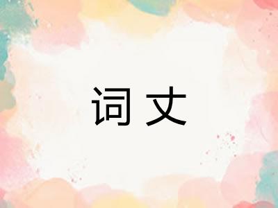 词丈