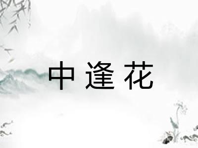 中逢花 中逢花