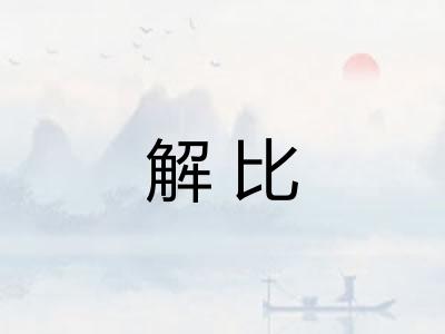解比