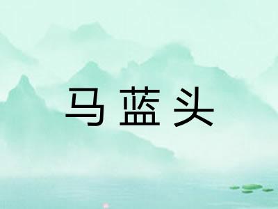 马蓝头