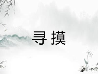 寻摸