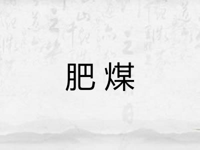 肥煤 肥煤