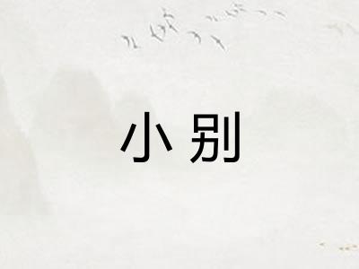 小别